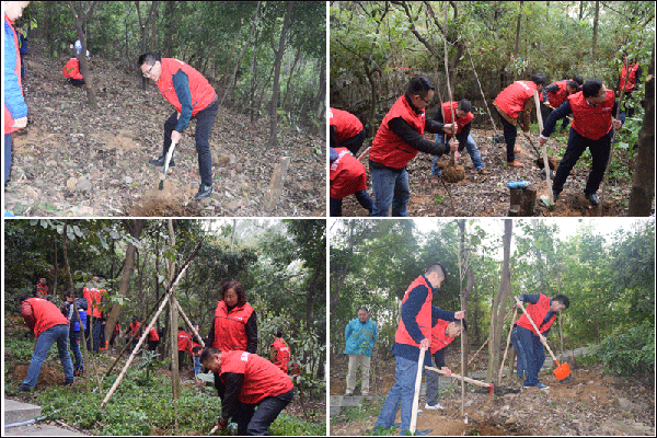 1509615449805017892.png 新美裝飾-新美動態6 (1).png